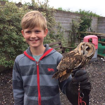 File:Tabley Superior - Gauntlet Birds of Prey Centre.jpg - Wikipedia