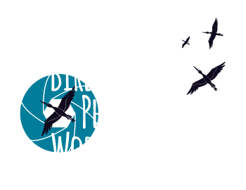 File:Tabley Superior - Gauntlet Birds of Prey Centre.jpg - Wikipedia