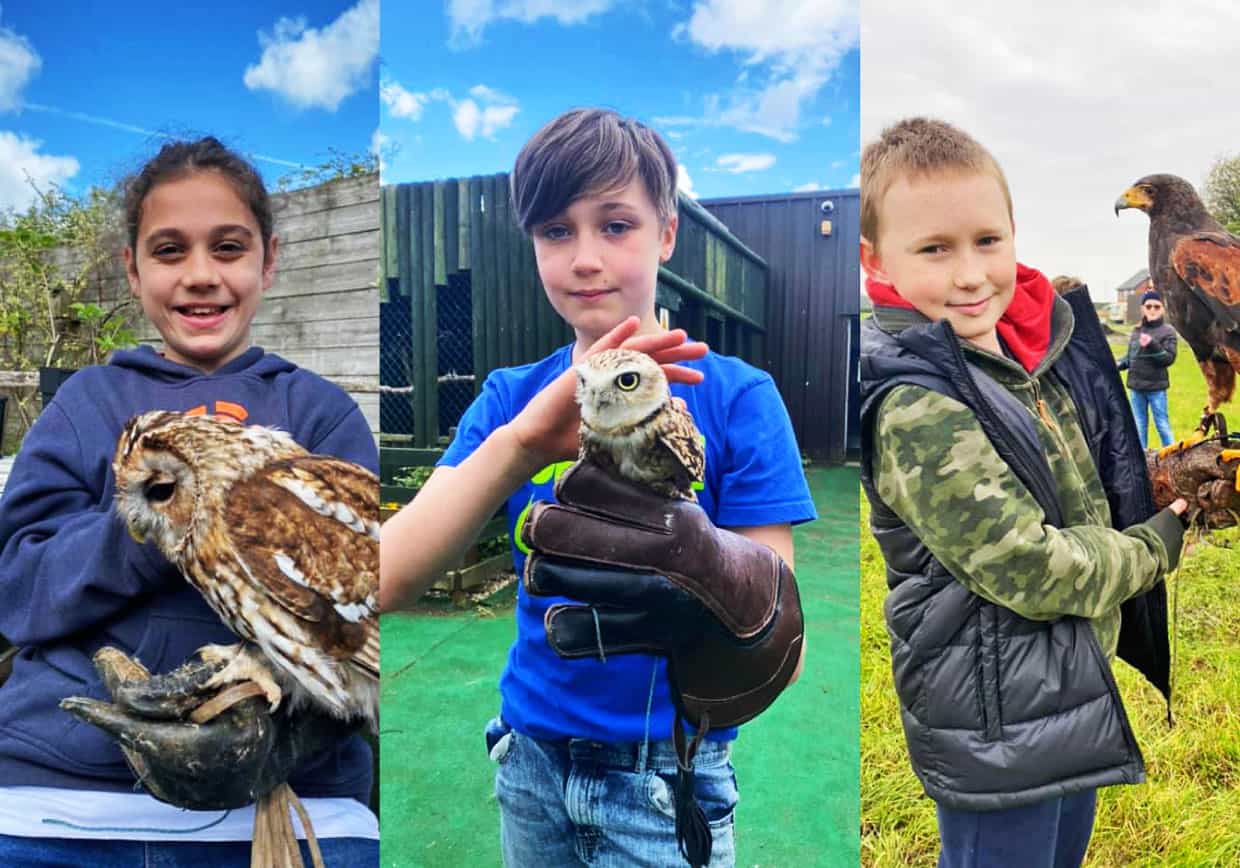 Gauntlet Birds of Prey – Eagle and Vulture Park